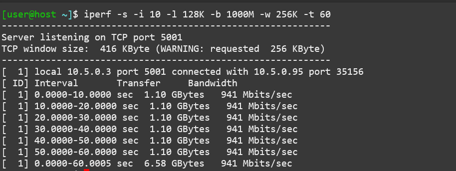 ../_images/iperf-tcp-server-custom-options.png