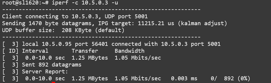 ../_images/iperf-udp-client.png