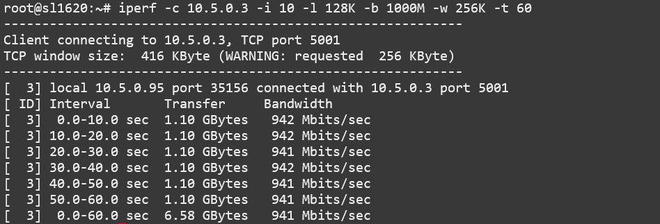 ../_images/iperf-tcp-client-custom-options.png