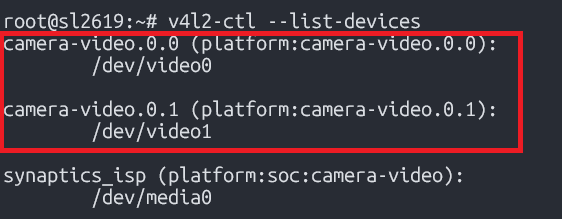 ../_images/sl2619-isp-path-devices.png