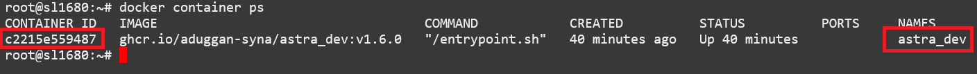 ../_images/docker-container-ps.png